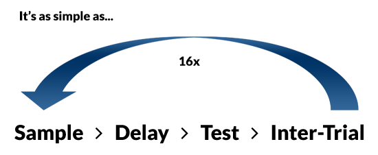 Repeat Sample > Transit > Test > Inter-Trial