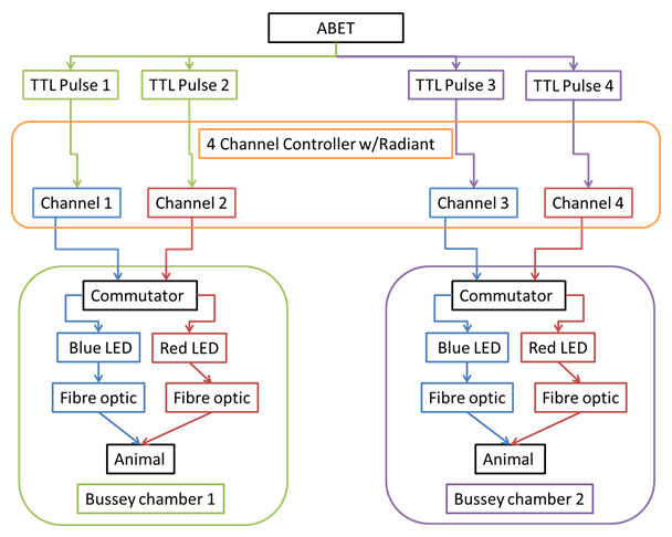 Optogenetics System Chart